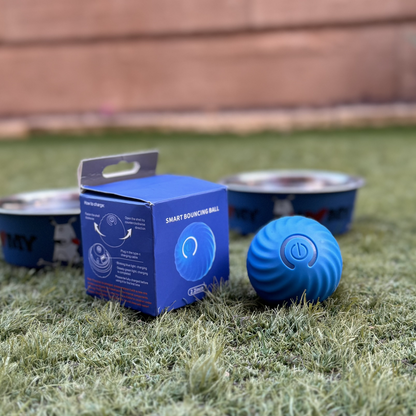 Pelota Interactiva para Mascotas