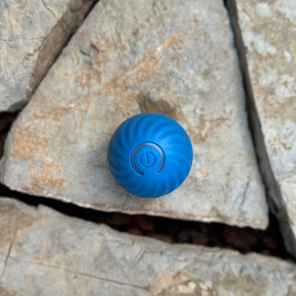 Pelota Interactiva para Mascotas